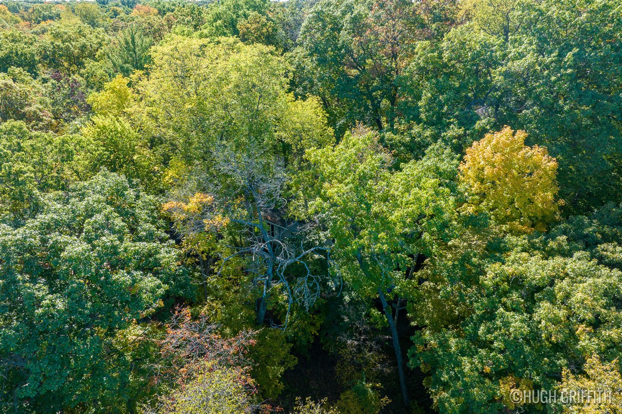 main property photo 64