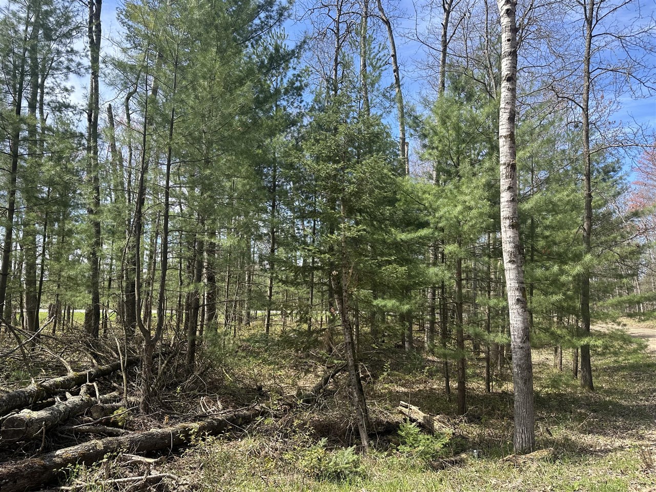 main property photo 13