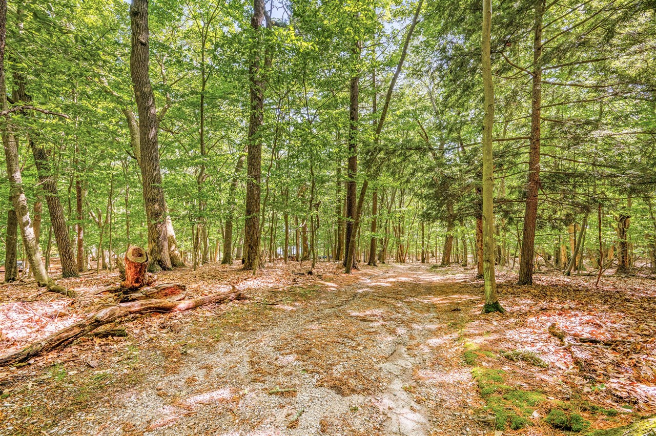 main property photo 98