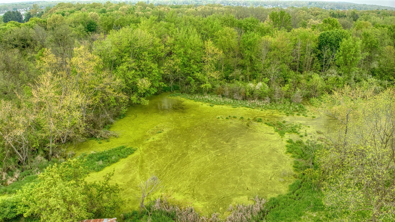 main property photo 67