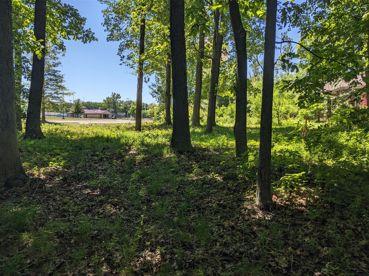 main property photo 12