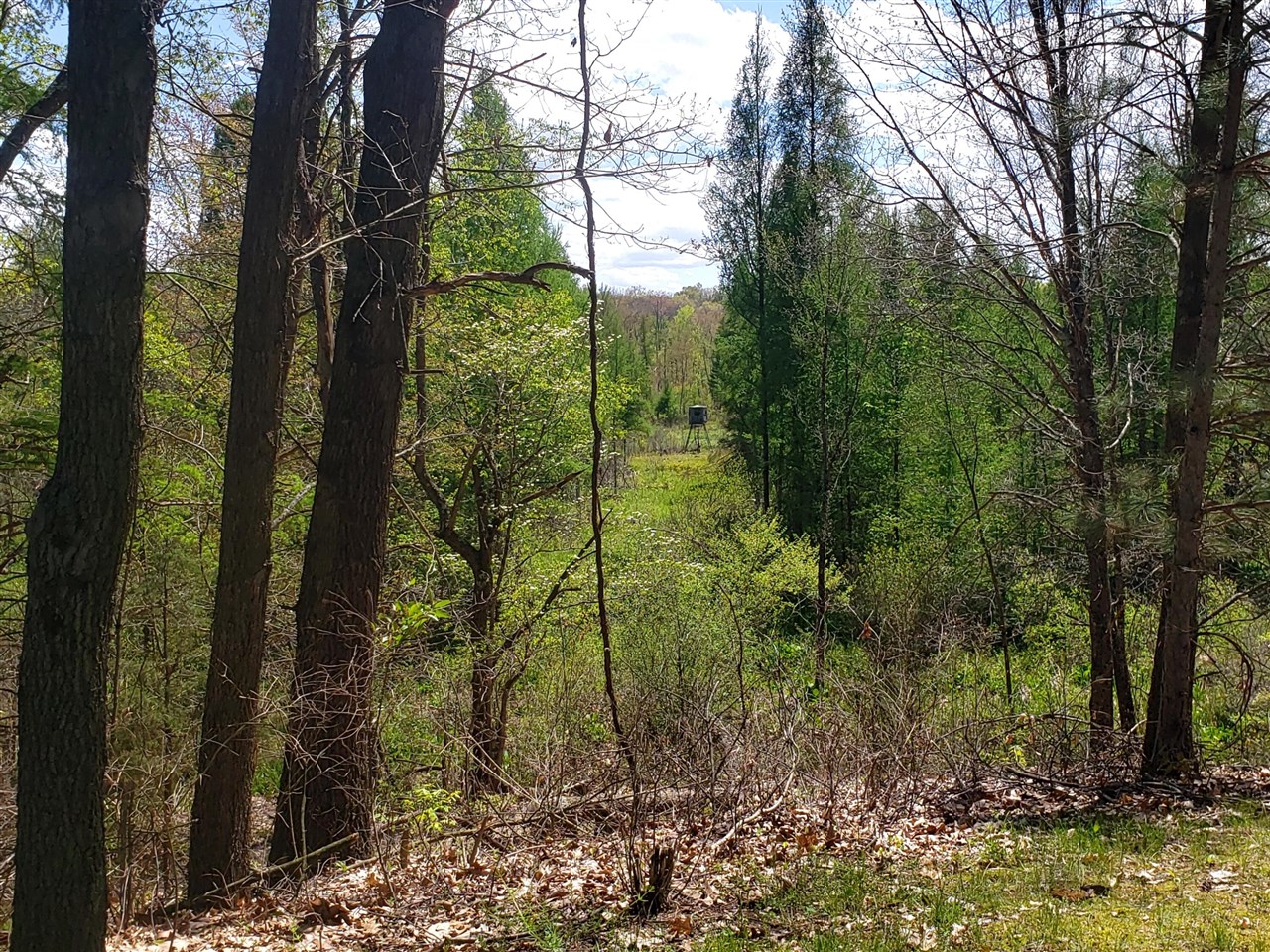 main property photo 11