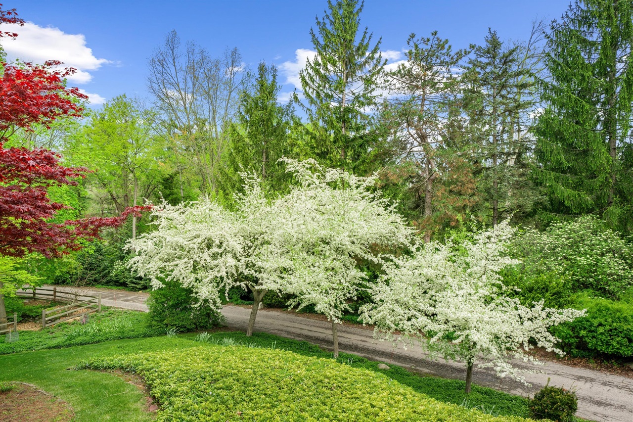 main property photo 79