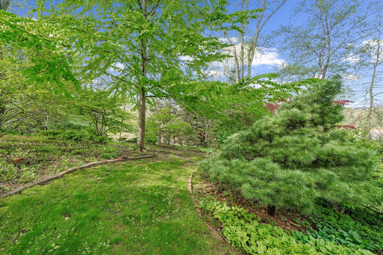 main property photo 82