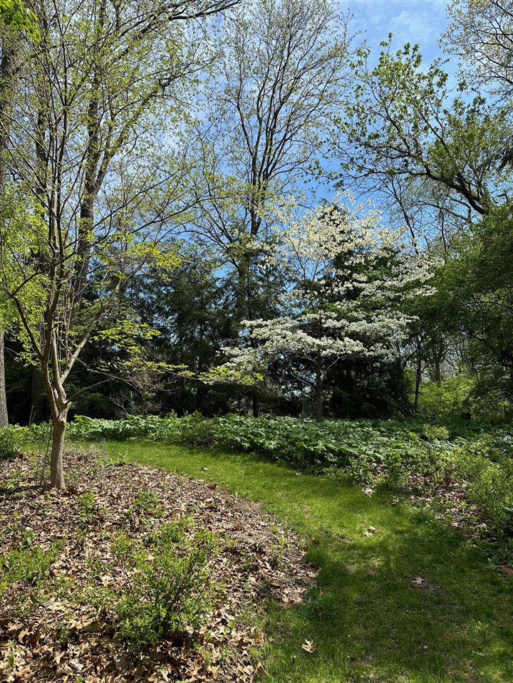 main property photo 97