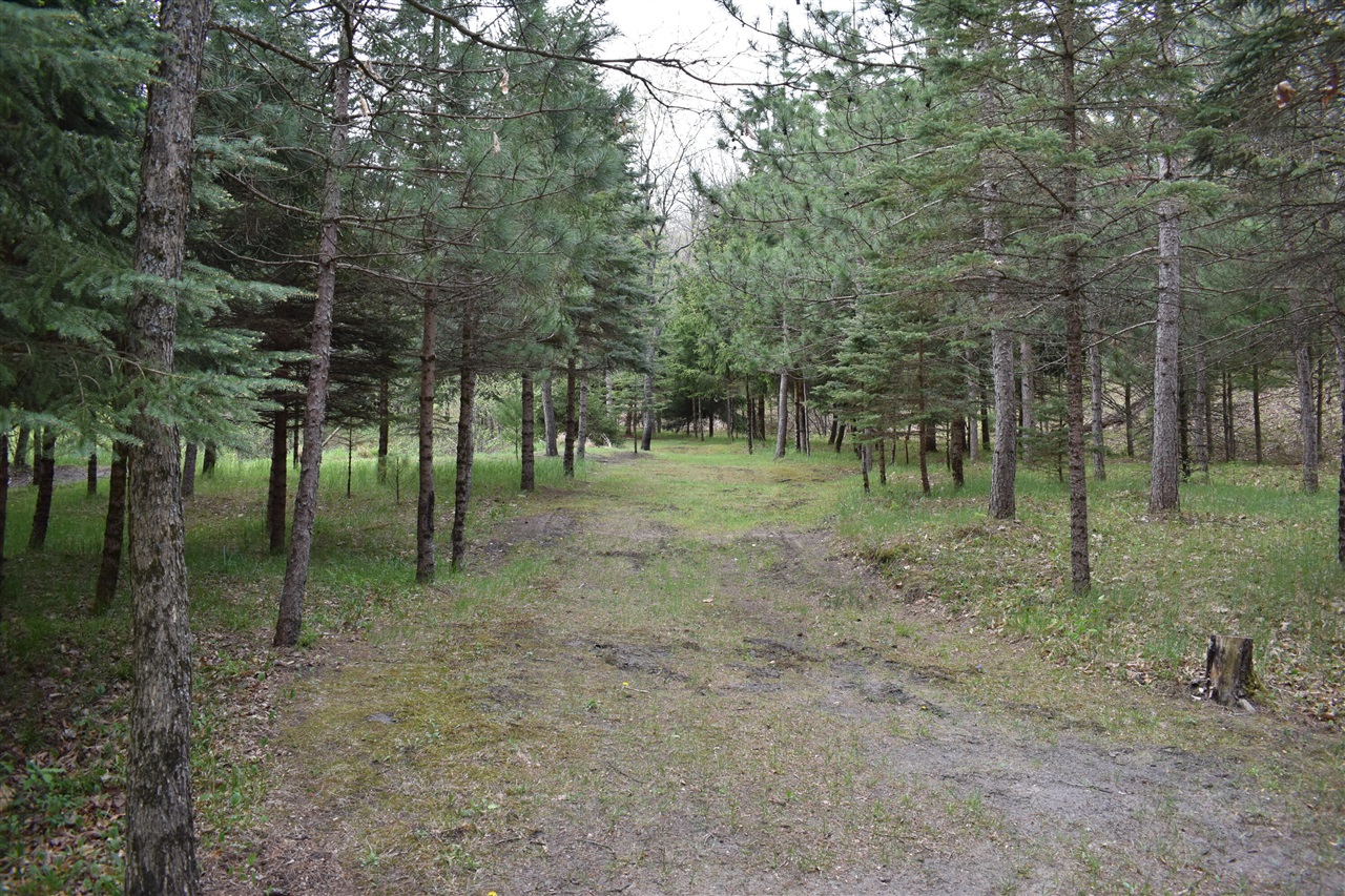 main property photo 40