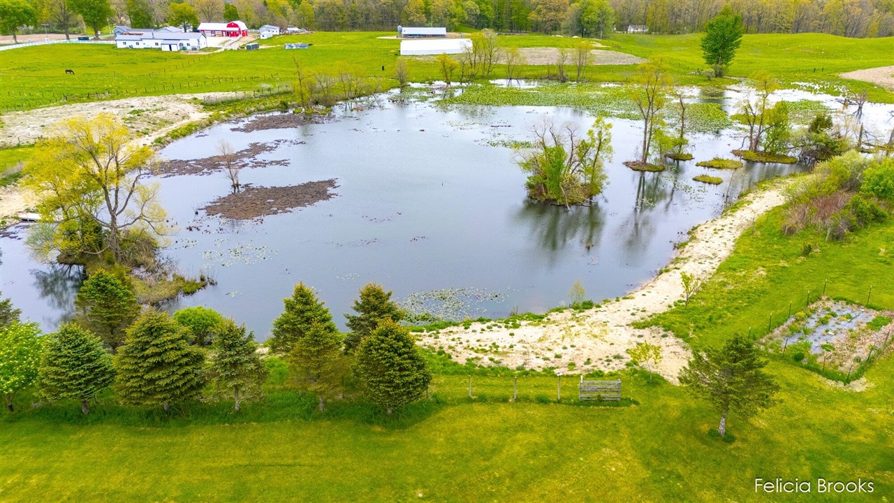 main property photo 64