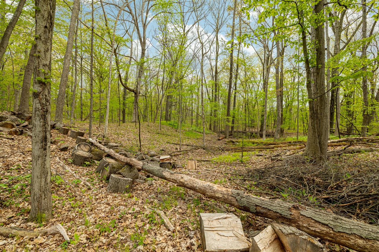 main property photo 50