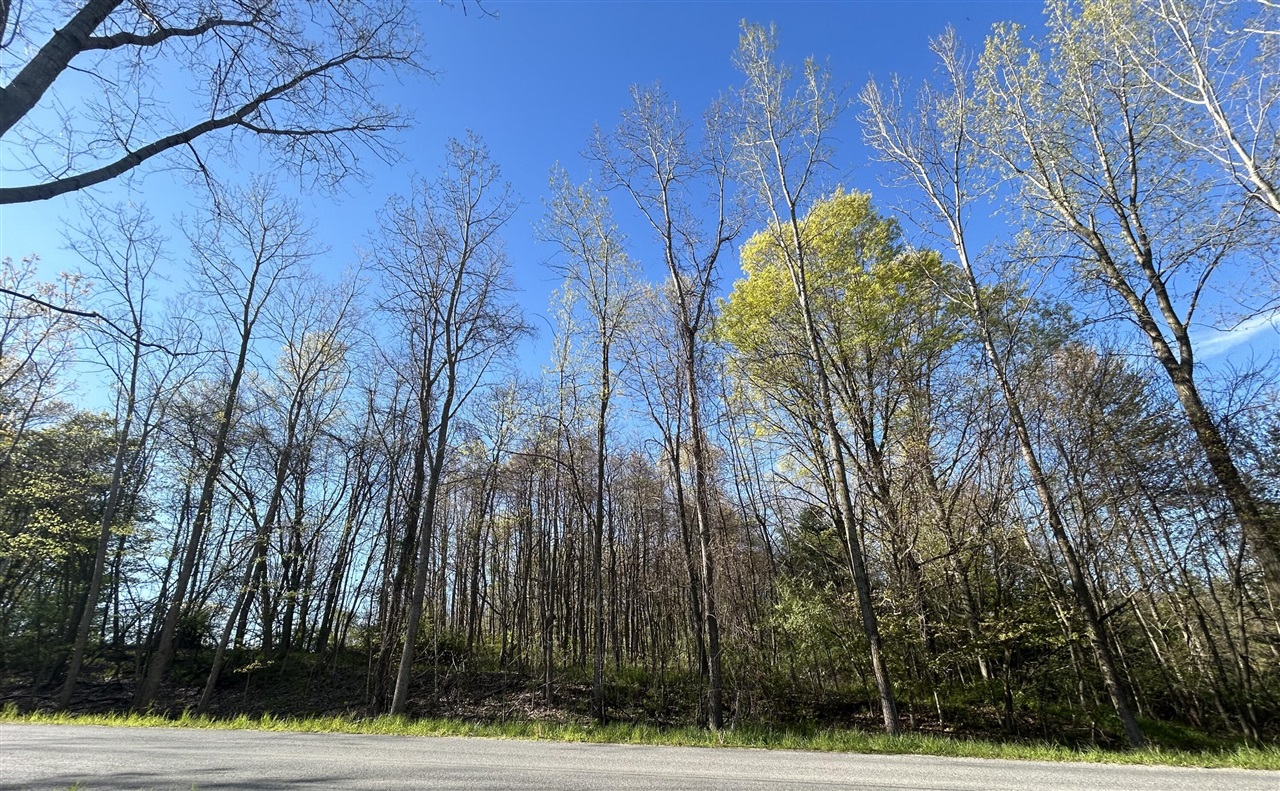 main property photo 12