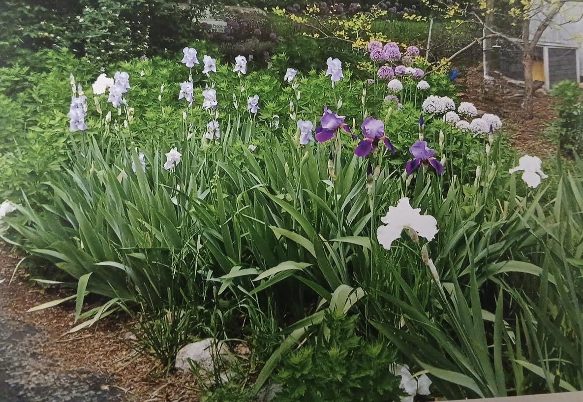 main property photo 34