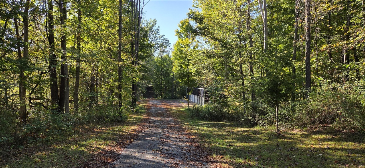 main property photo 7