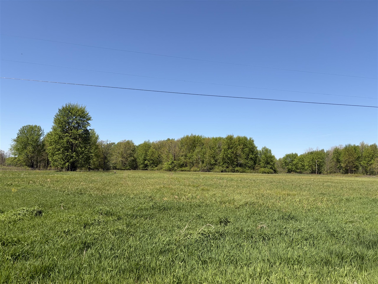 main property photo 0
