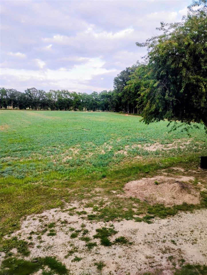 main property photo 91
