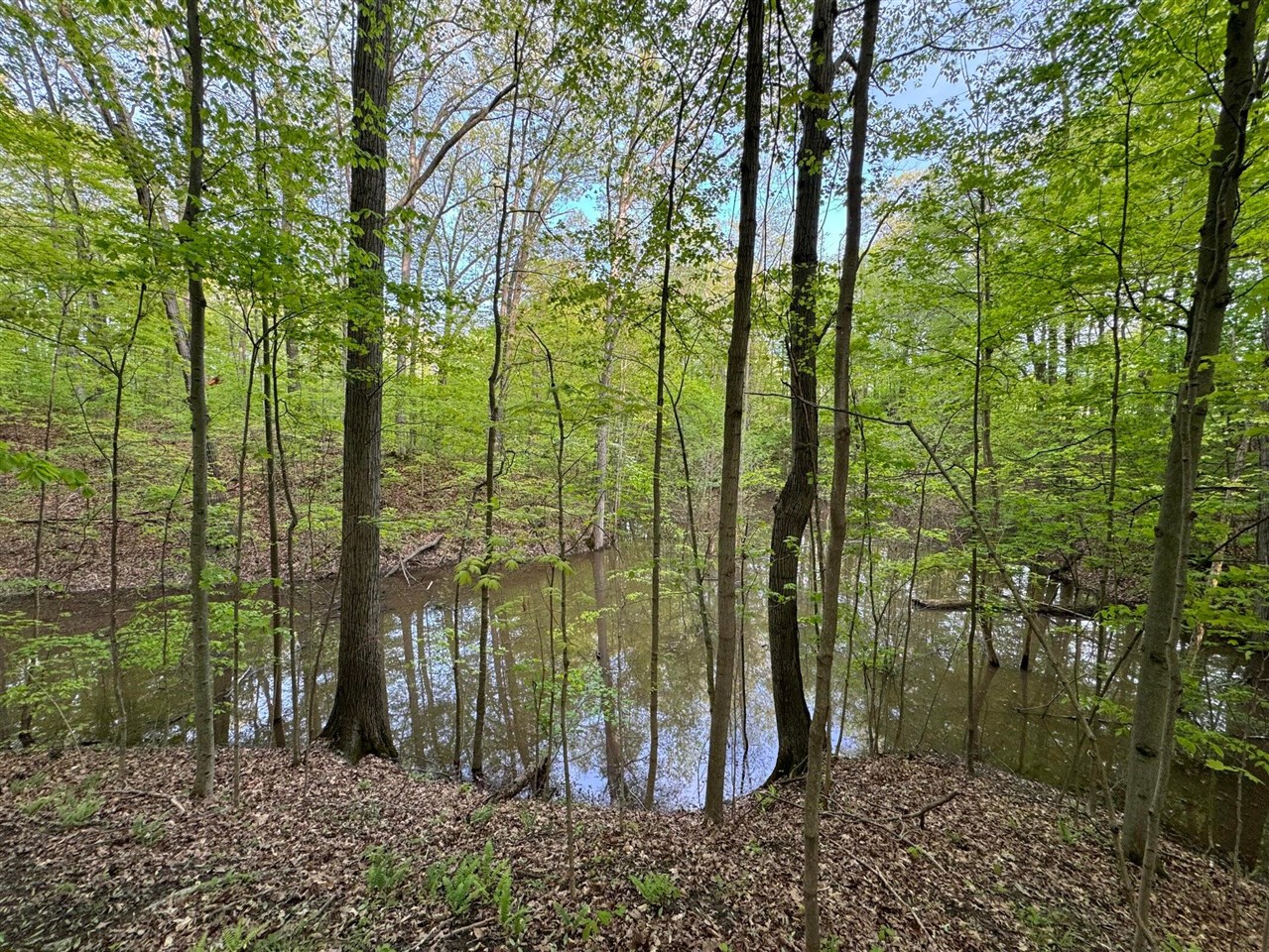 main property photo 37