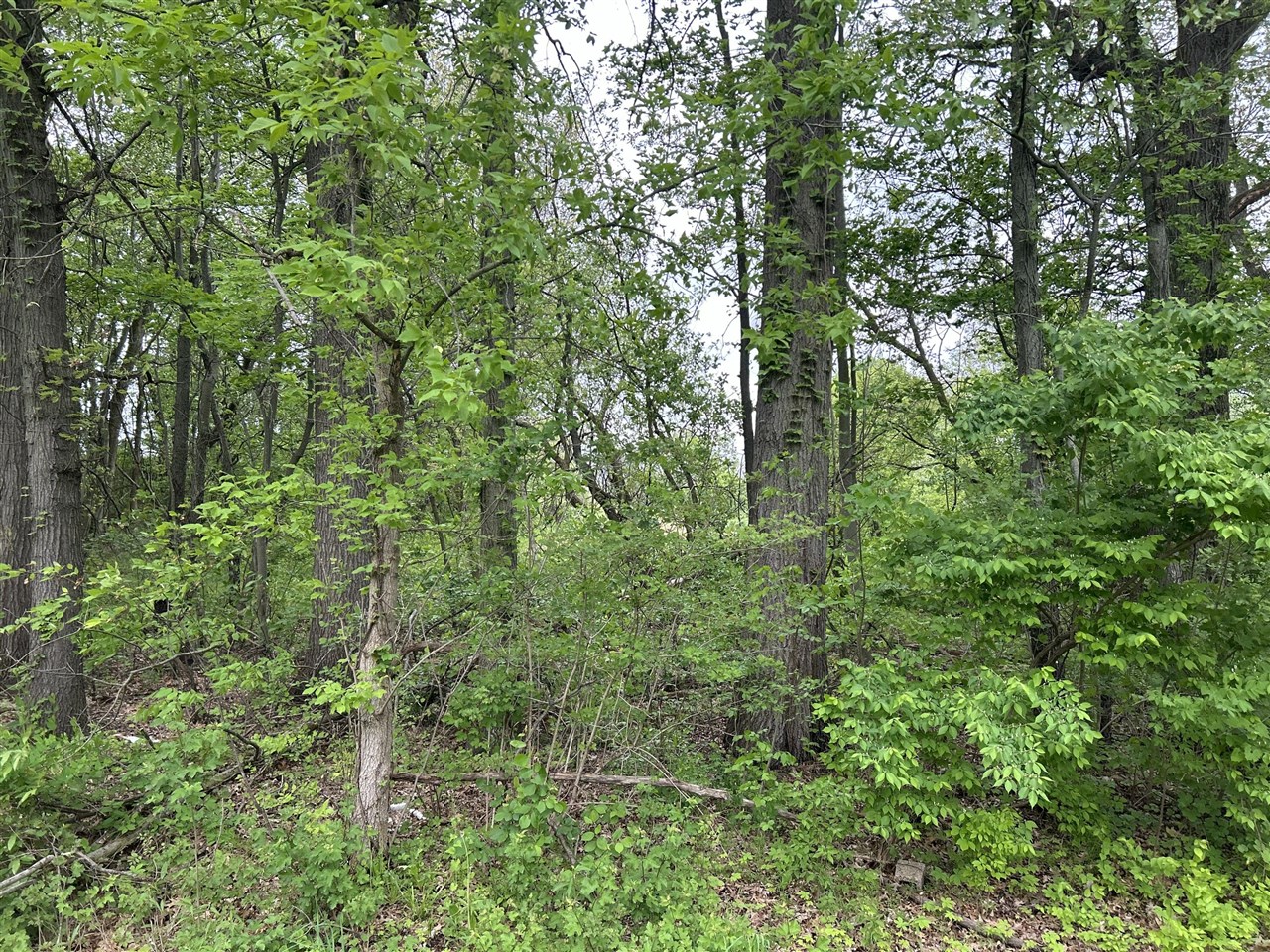 main property photo 26