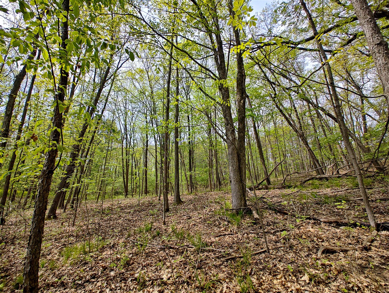 main property photo 9