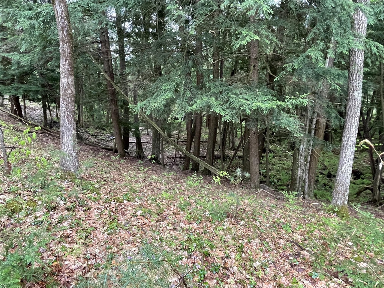 main property photo 21