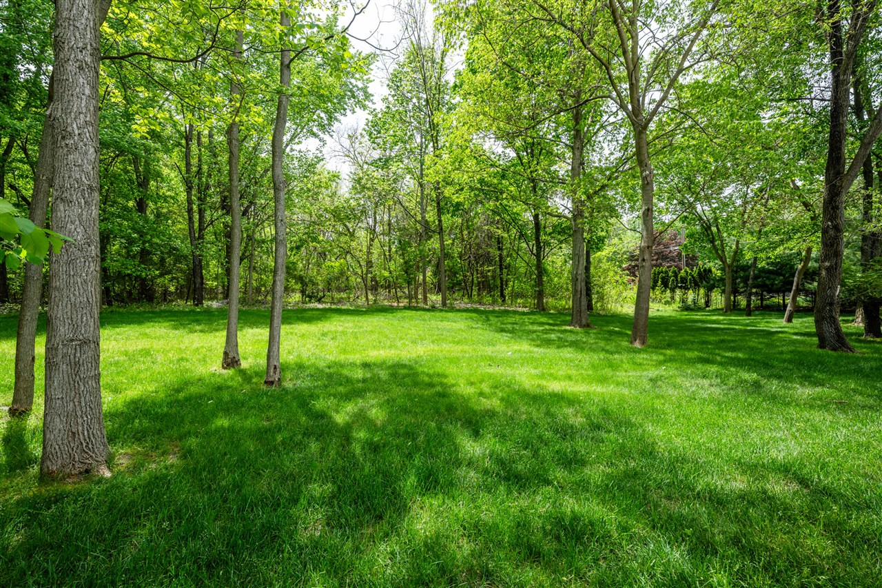 main property photo 61
