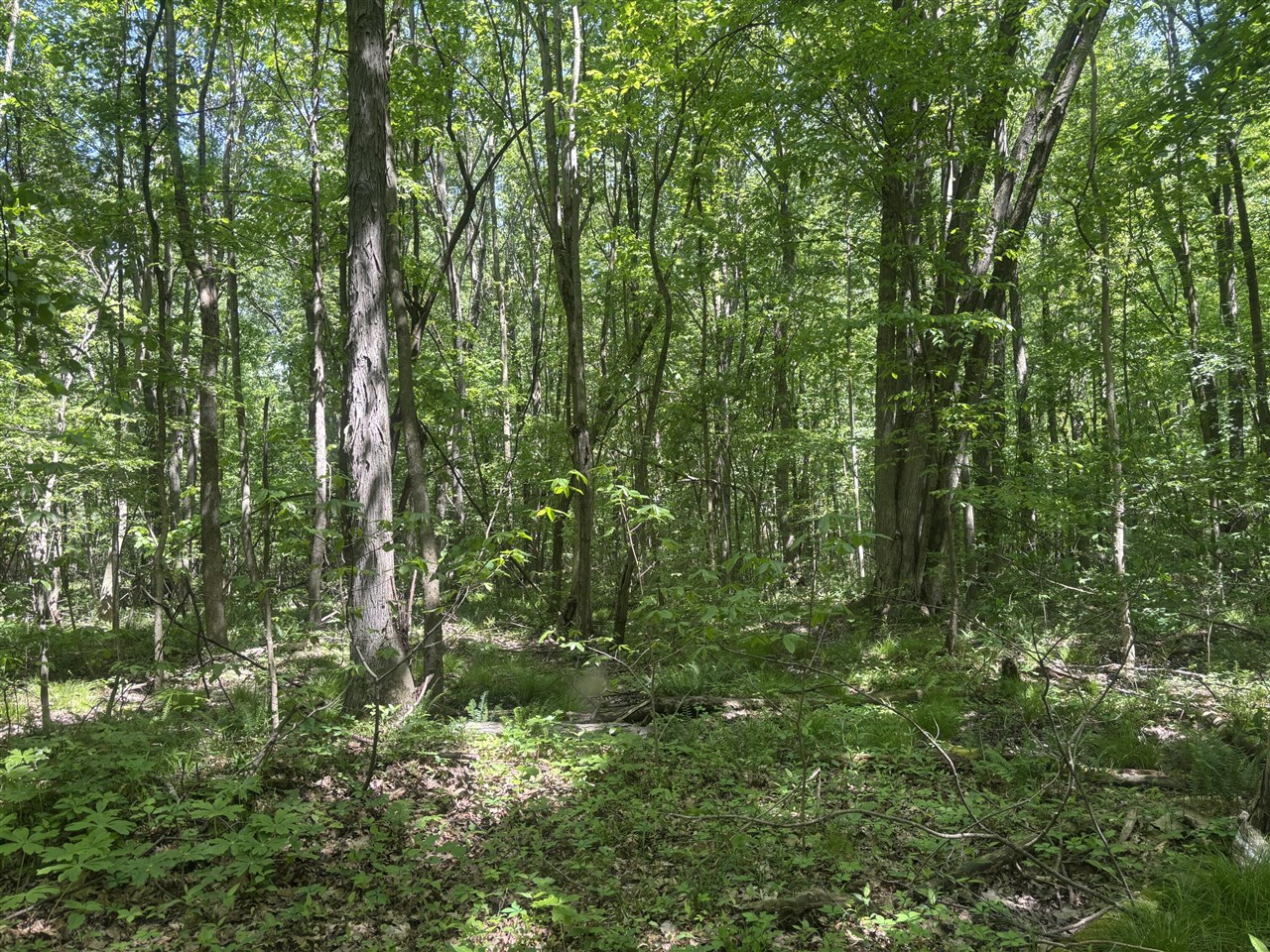 main property photo 11