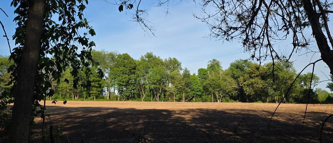 main property photo 9