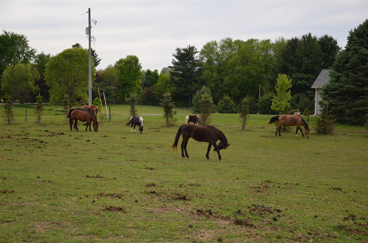 main property photo 62