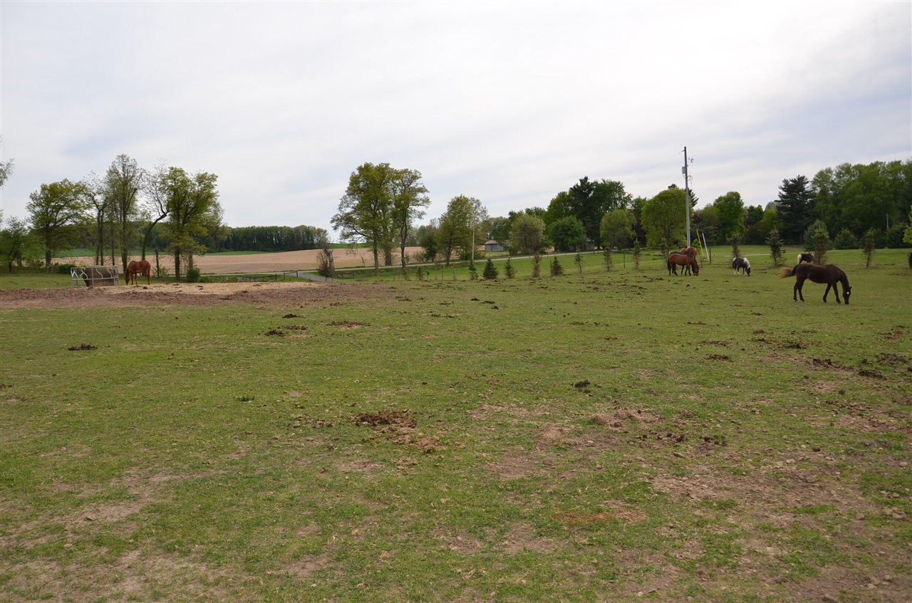 main property photo 63