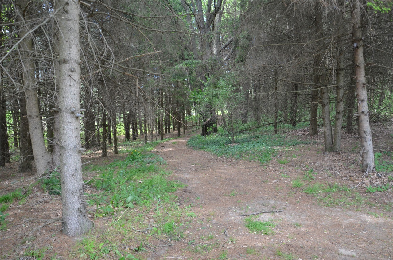 main property photo 71