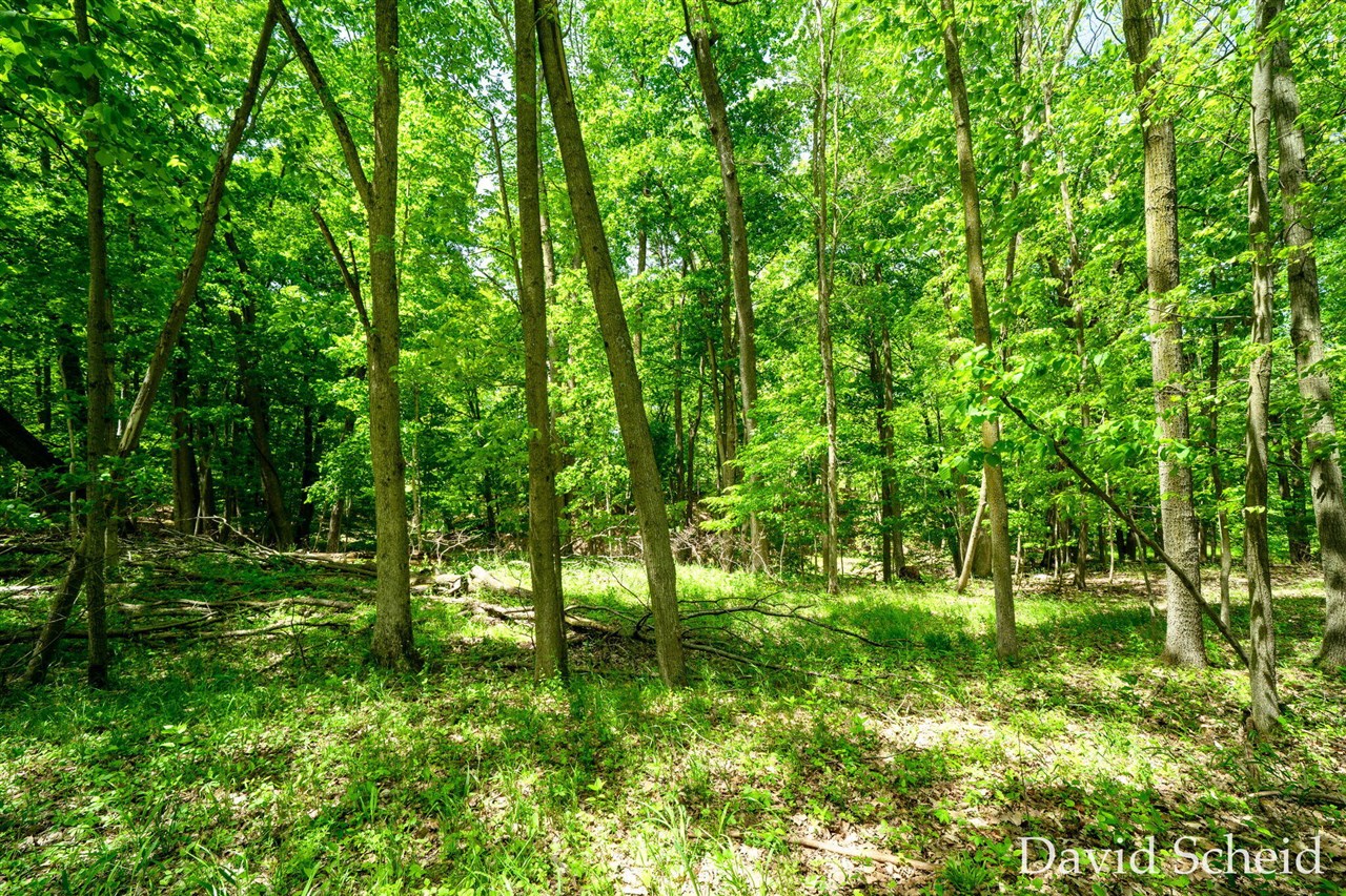 main property photo 57
