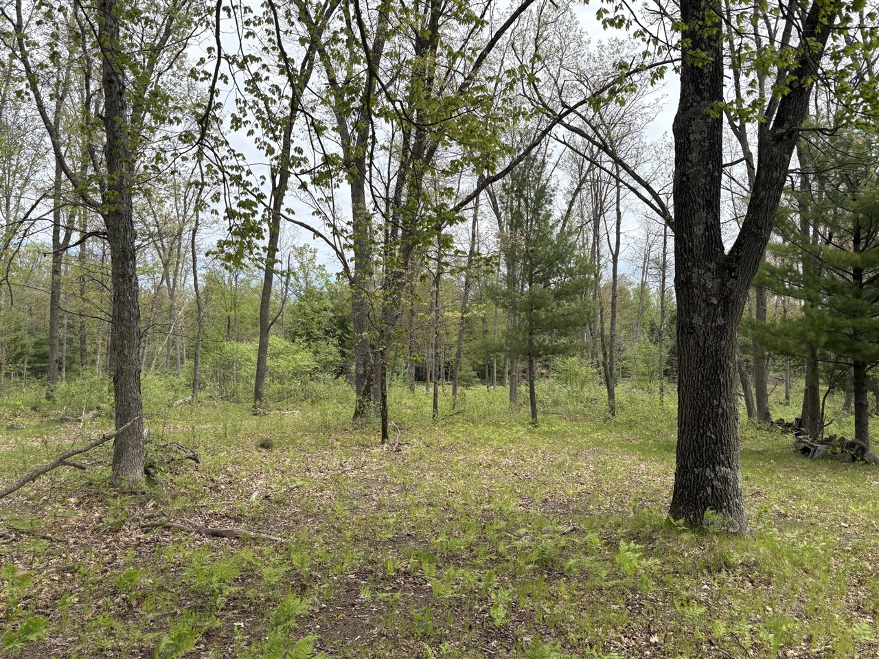 main property photo 38