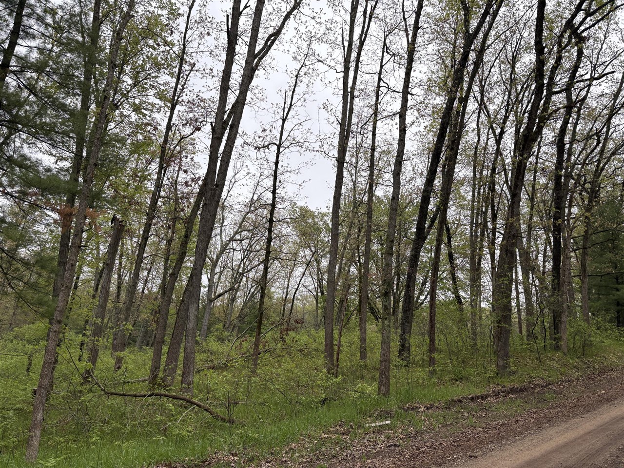 main property photo 42