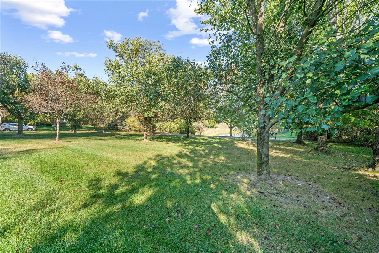 main property photo 94
