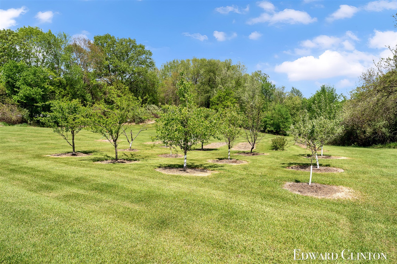 main property photo 64