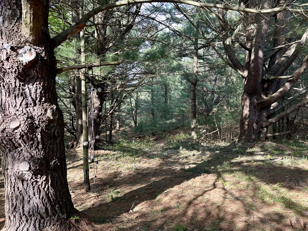 main property photo 41