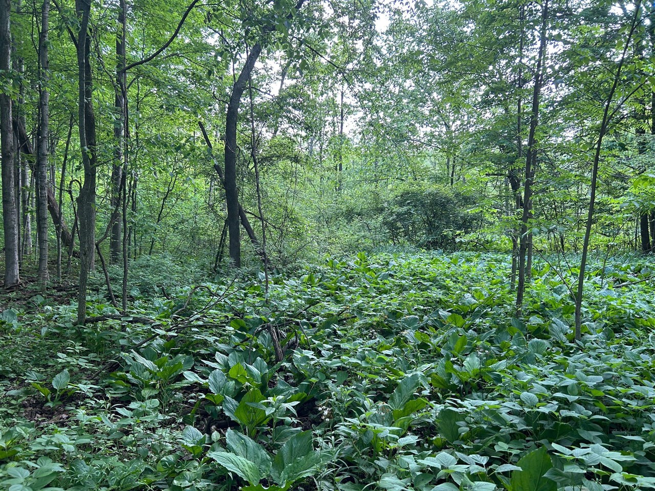 main property photo 20
