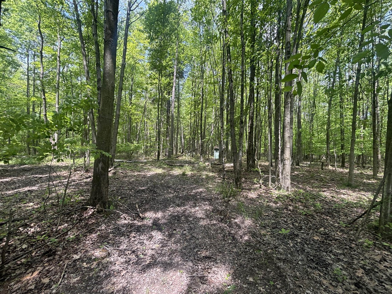 main property photo 19