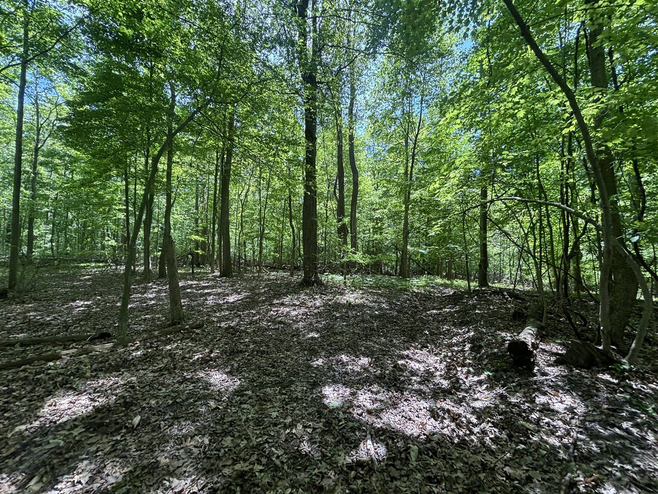 main property photo 27