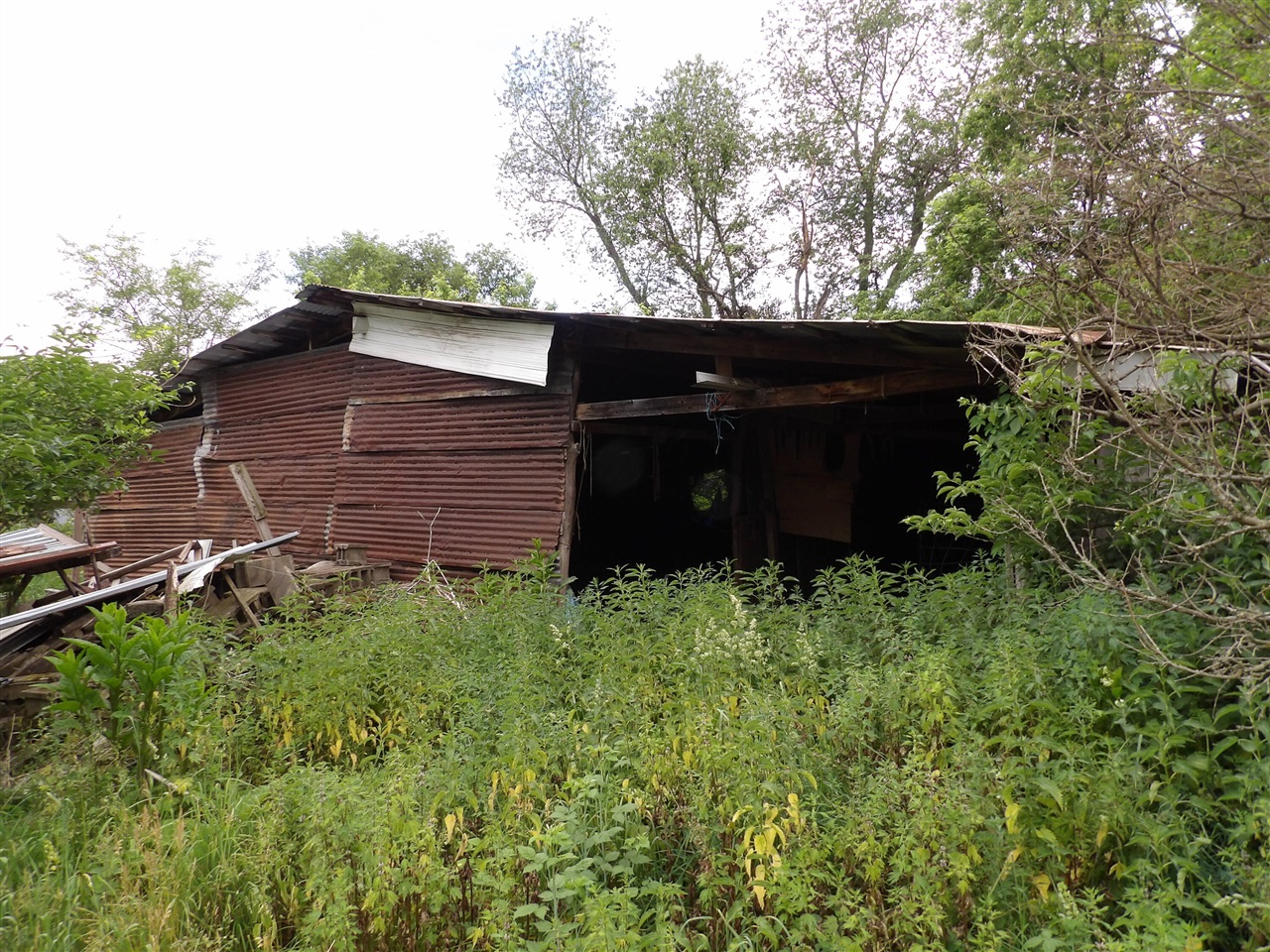 main property photo 3