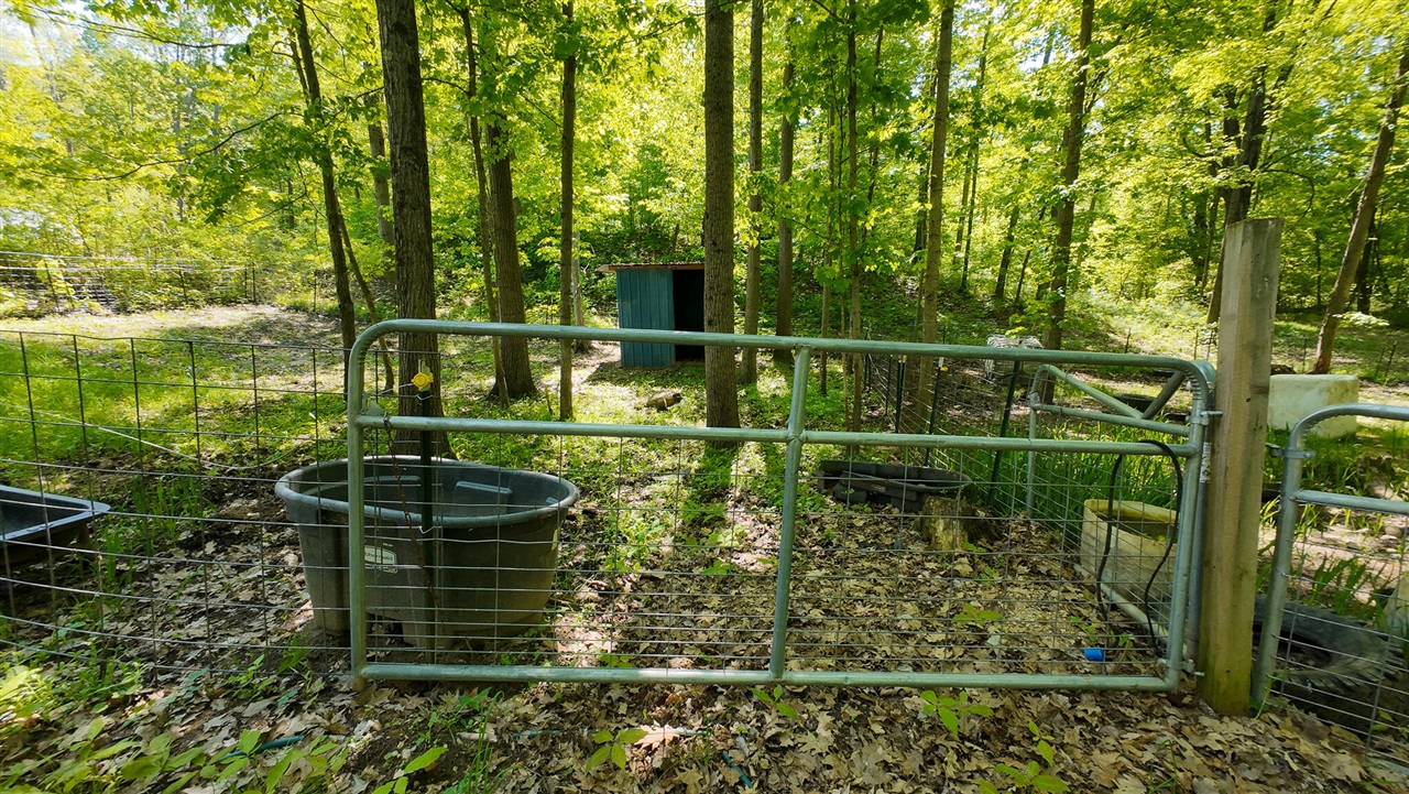 main property photo 37