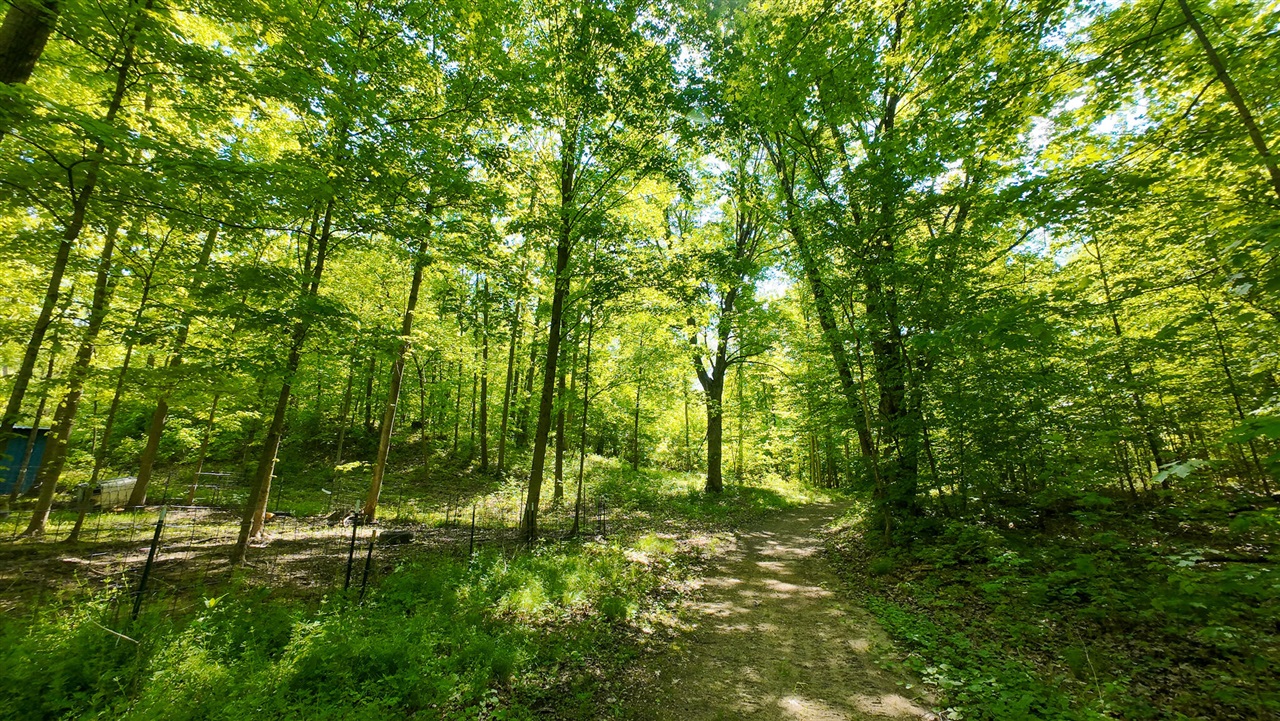 main property photo 43