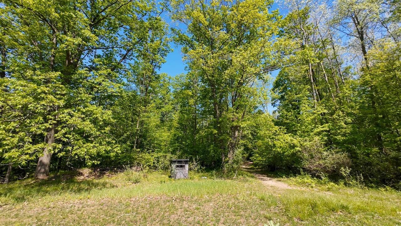 main property photo 49