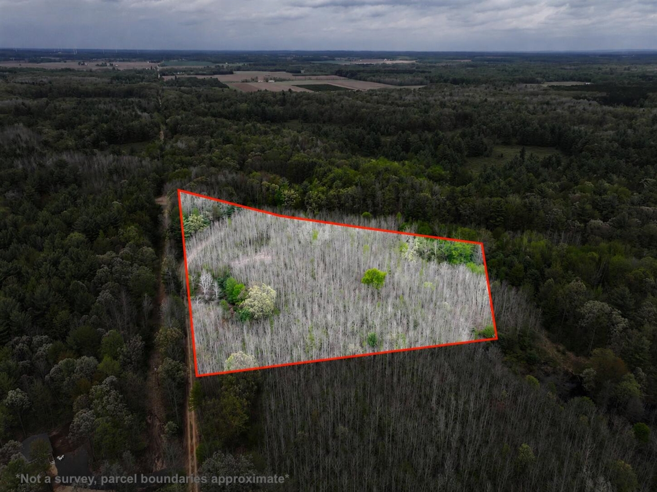 main property photo 0