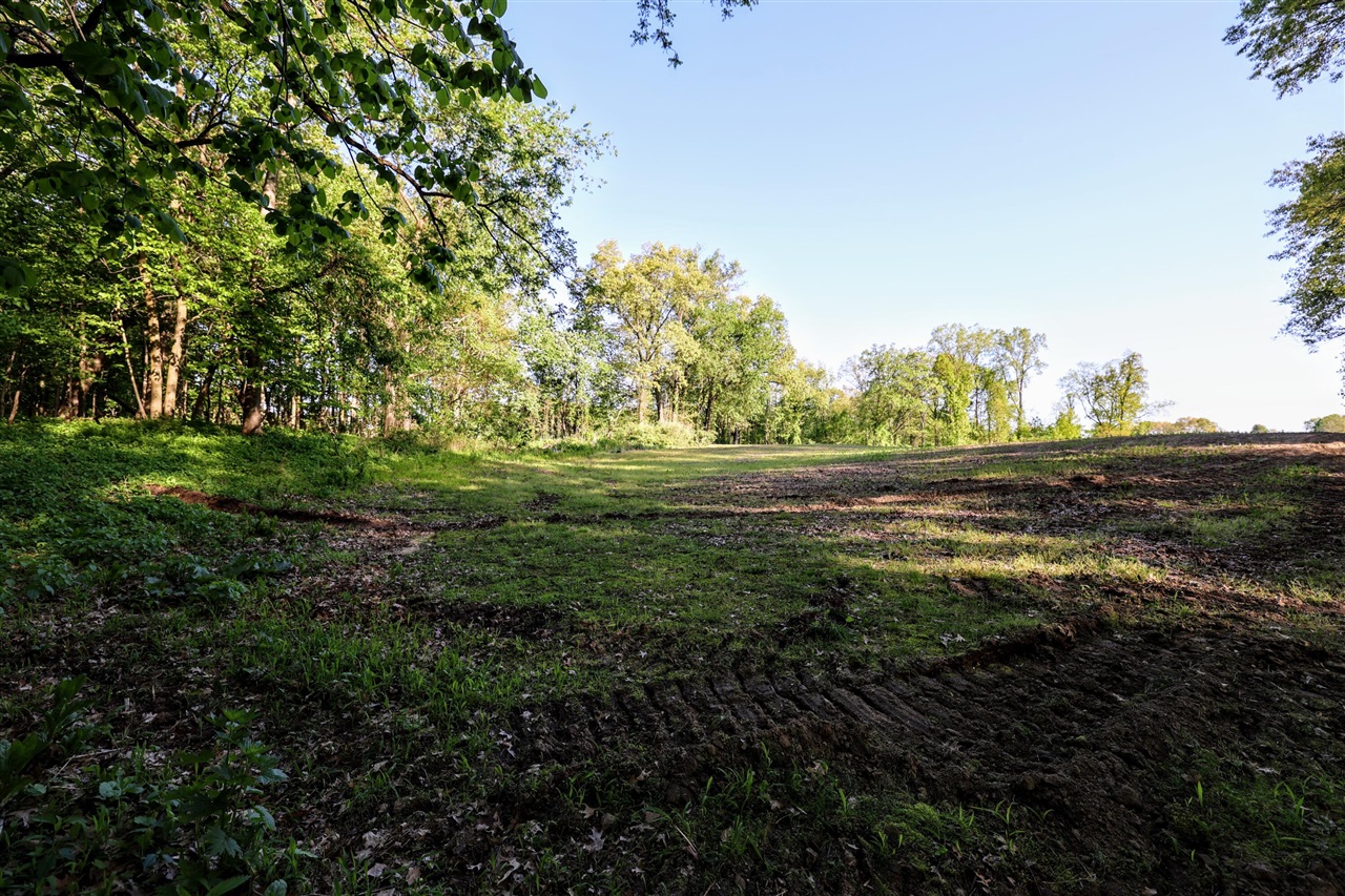 main property photo 28