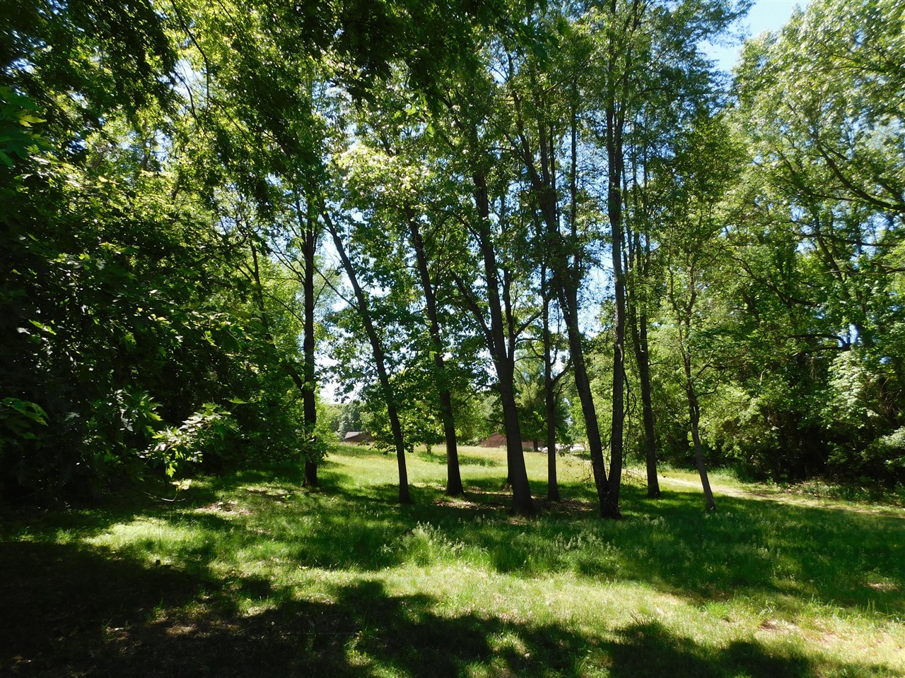 main property photo 39
