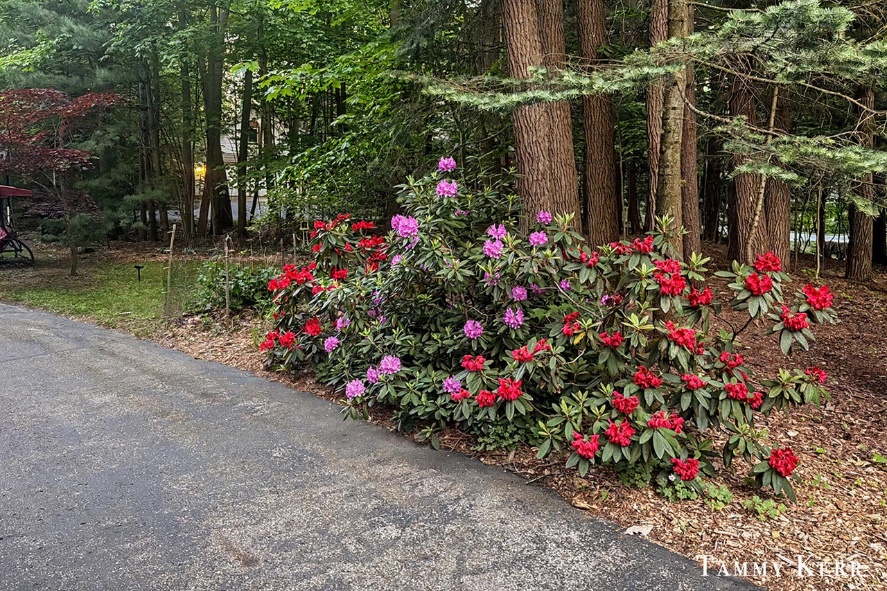 main property photo 53
