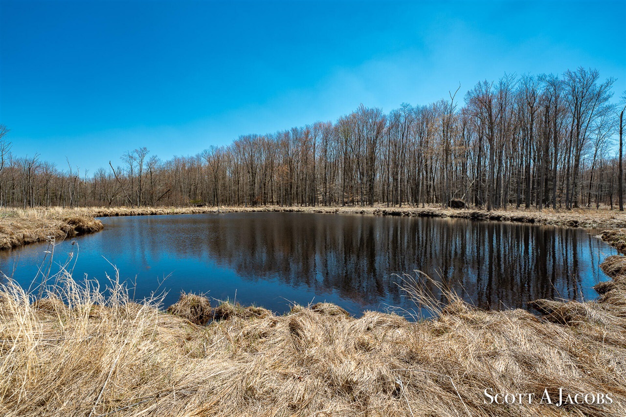 main property photo 64