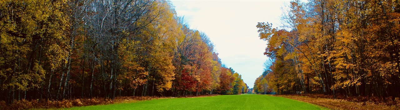 main property photo 67