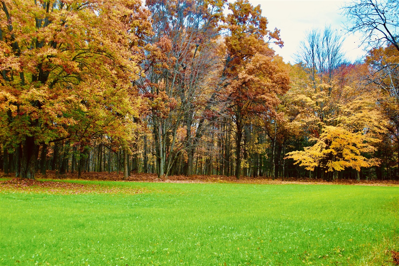 main property photo 83