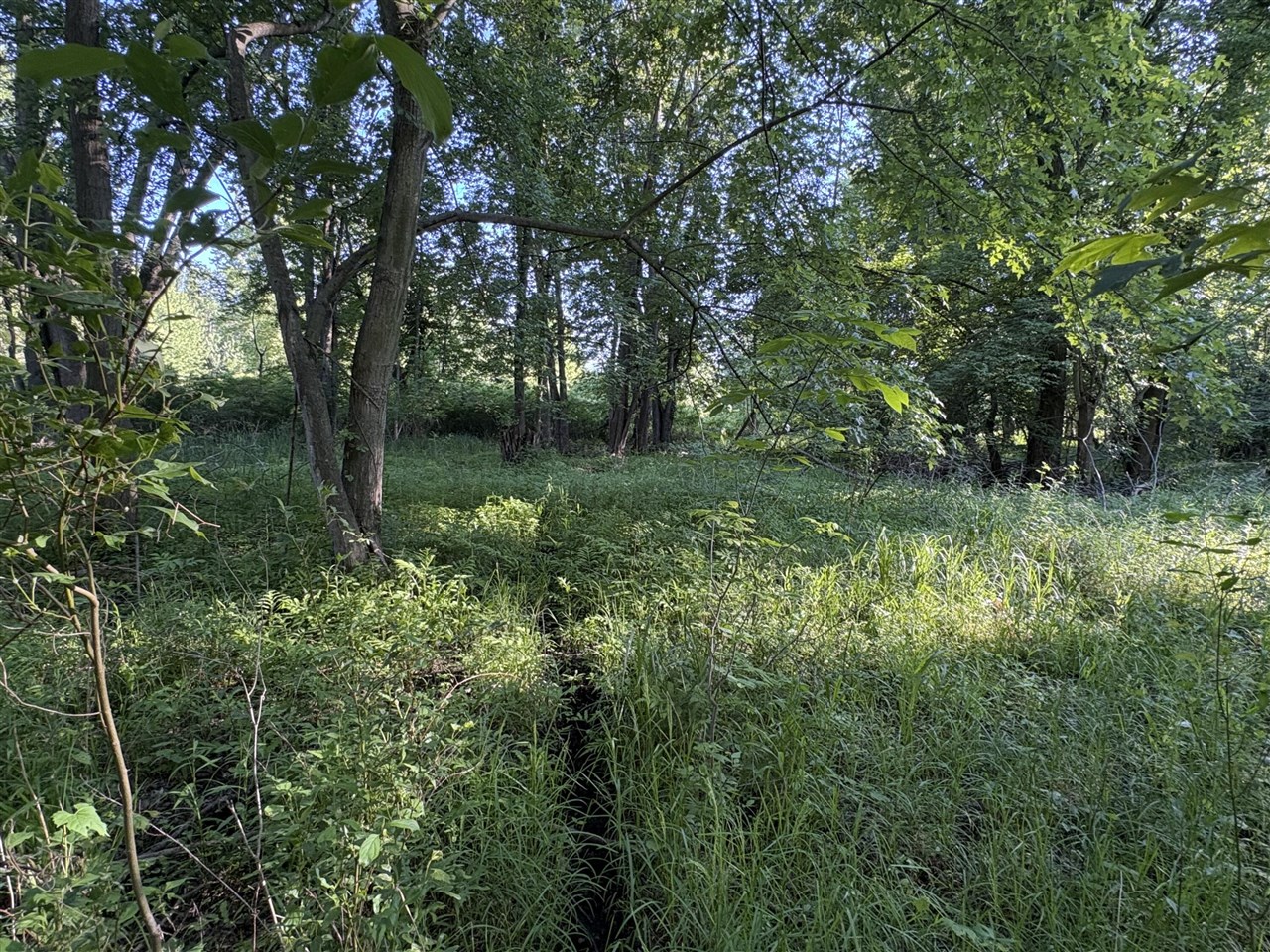 main property photo 8