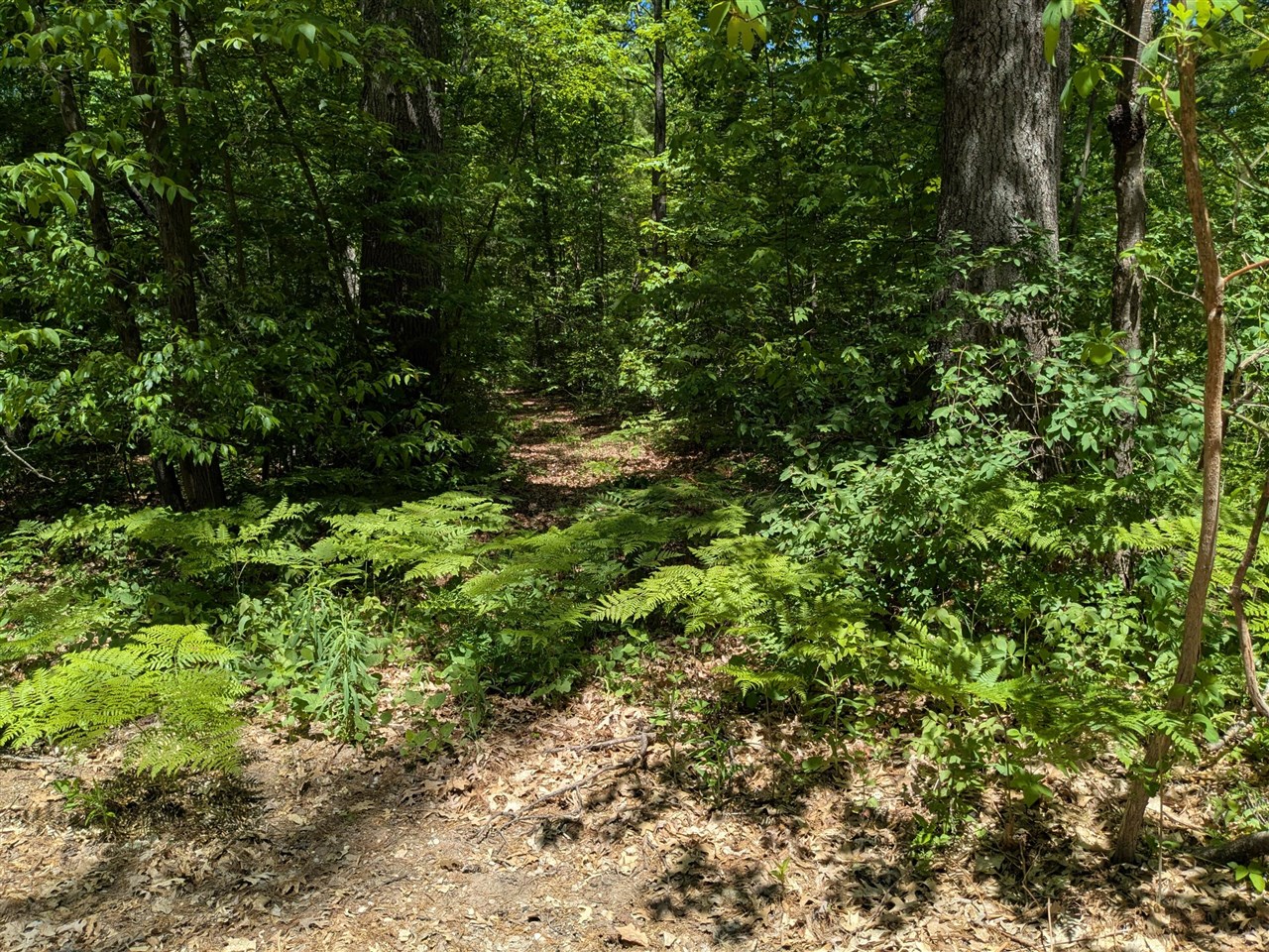 main property photo 0