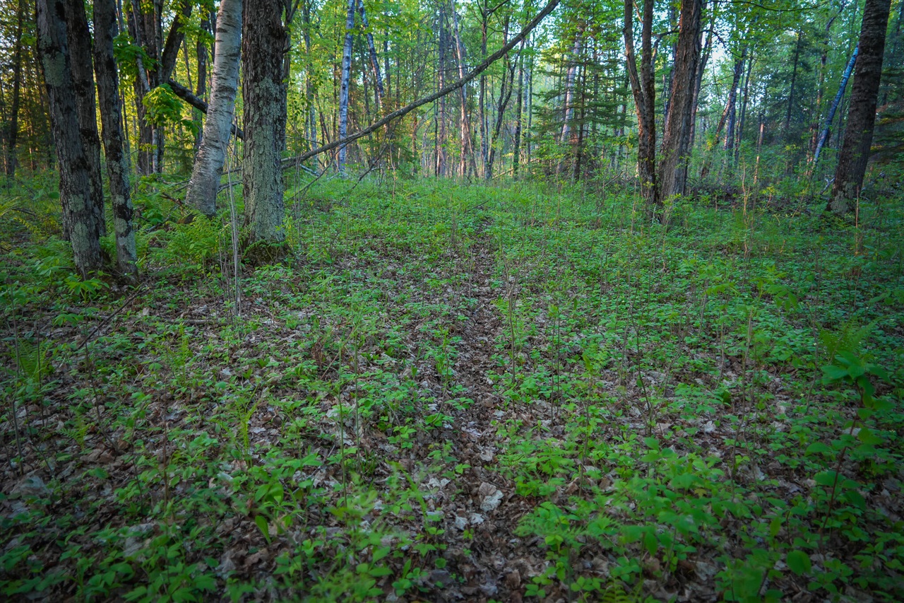 main property photo 58